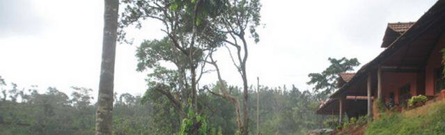 Misty Coorg, Madikeri 3